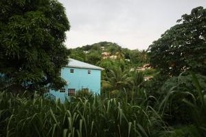 Giardino di My Gem in the Caribbean