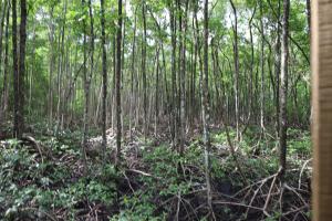 Paesaggio naturale nelle vicinanze dell'appartamento