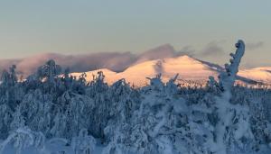 Cozy mountain house in Jämtland v zimě