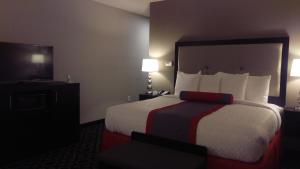 Postel nebo postele na pokoji v ubytování Best Western Plus Laredo Inn & Suites