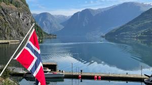 フロムにあるSvingen Guesthouse - Panoramic Fjord Views in Flåmの山々のある湖の前の旗