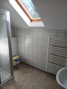 une salle de bain avec toilettes et puits de lumière dans l'établissement LivingRoom GmbH K72 Appartments in Salzgitter und Umgebung, à Baddeckenstedt