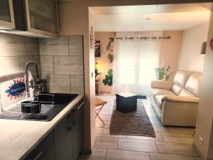 a kitchen and living room with a sink and a couch at Studio climatisé et jardin clos 2 nuits minimum in Castres
