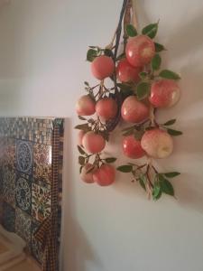 תמונה מהגלריה של הבית הירוק - Green House בערד