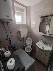 a small bathroom with a toilet and a sink at Happy house in Kruševac +5 photos