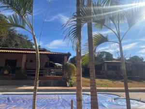 two palm trees in front of a house at Chácara Recanto Monjolinho in Planaltina