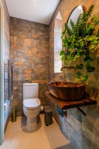 a bathroom with a toilet and a wooden sink at Self-contained cosy one bedroom holiday barn in Cowbridge