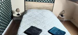 une chambre avec un lit avec deux tables et deux lampes dans l'établissement Maison en plein coeur du Vexin, à Drocourt