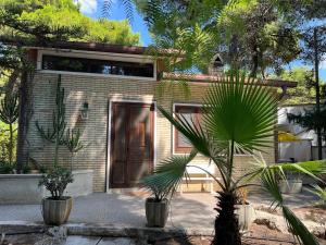 a house with a palm tree in front of it at villa raffaela lido silvana marina di pulsano fatamorgana in Pulsano