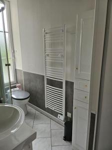 un bagno bianco con un water e un lavandino di Charmant appartement centre ville proche thermes a La Bourboule