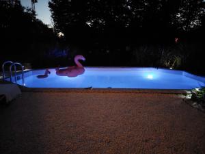 Πισίνα στο ή κοντά στο HoWi Living Apartment