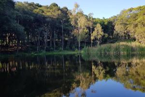 a view of a lake with trees in the background at Cabana - Piscina - Lago - Pet - 50min Curitiba in Tijucas do Sul