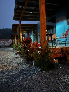 Fotografie z fotogalerie ubytování Container Guest House v destinaci Porto Belo
