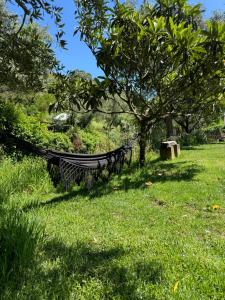 a hammock in the grass under a tree at Casas Rio Verde in Cheleiros