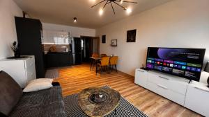 Televízia a/alebo spoločenská miestnosť v ubytovaní Apartment Budweis 2kk České Budějovice