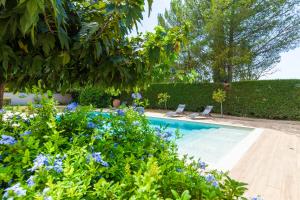 マルセイユにあるAppart Cocon avec piscine et jardinの椅子2脚と青い花が置かれたプール