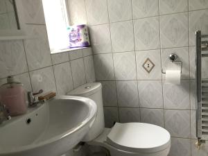 a bathroom with a white toilet and a sink at Aqueduct apartment near Llangollen in Llangollen +8 photos