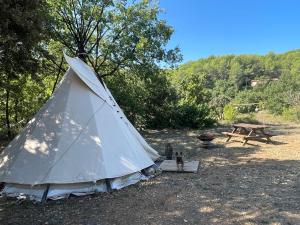 a tent with a cat sitting next to a picnic table at Le tipi Naskapi in Trans-en-Provence