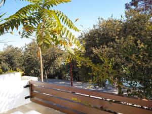 a wooden bench in a park with trees at Terraza de Triana in Seville