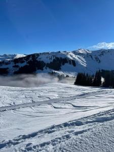 Genießen Sie Bergblick & Sauna im modernen Chalet v zime