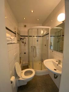 ein Badezimmer mit Toilette, Waschbecken und Dusche in der Unterkunft Oldtown Apartment Andreasstrasse in Düsseldorf
