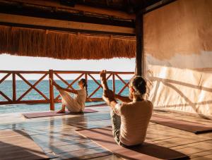 Příroda nedaleko rezortu