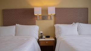Postel nebo postele na pokoji v ubytování Holiday Inn Orizaba by IHG