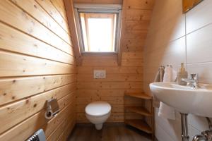 a bathroom with a toilet and a sink at Ferienhaus "Happy Krabbe" Mellumplate 31 in Dorum Neufeld +33 photos