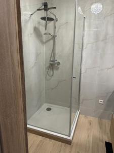una ducha con puerta de cristal en un baño en Majestic Old Town Apartments, en Bratislava 38 fotos más