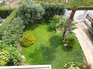 A garden outside Birgi holiday home