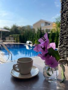 Bazén v ubytování Viola Hotel Budva nebo v jeho okolí