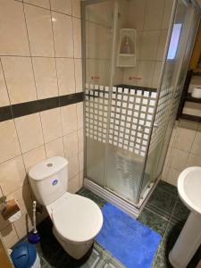 a bathroom with a toilet and a shower at Cabañas San Sebastián in Valdivia