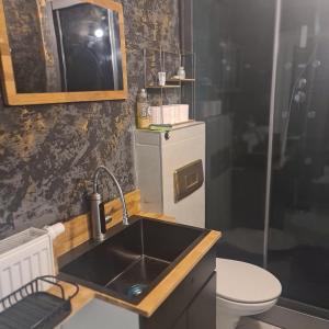 a small kitchen with a sink and a toilet at St Georgen im Attergau ein Zimmer Wohnung in Sankt Georgen im Attergau