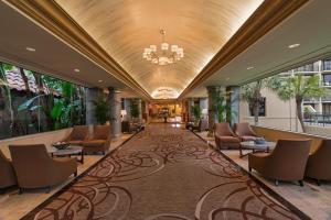 Loungen eller baren på The San Luis Resort Spa & Conference Center