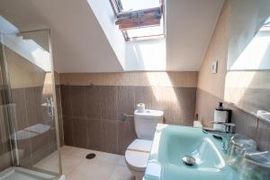 a bathroom with a sink and a toilet and a skylight at Alojamientos Valdecilla 3000 in Santander +22 photos