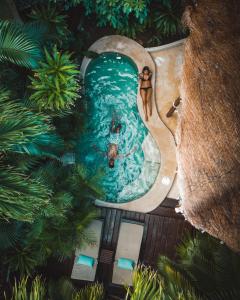 Bazén v ubytování Viceroy Riviera Maya, a Luxury Villa Resort - Adults Only nebo v jeho okolí