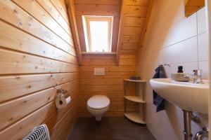 a small bathroom with a toilet and a sink at Ferienhaus Mellumplate 50 in Dorum Neufeld +30 photos