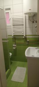 Vannituba majutusasutuses Marija apartmani