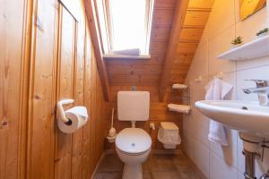 a small bathroom with a toilet and a sink at Ferienhaus "Greifenberg" Hans Albers 17 in Wremen +32 photos