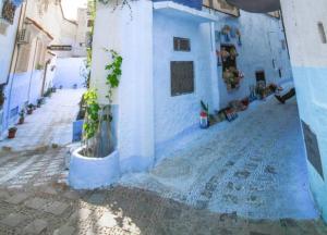 a blue building with a potted plant on a street at Casa Medina in Chefchaouen