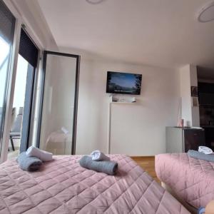 TV a/nebo společenská místnost v ubytování Studio apartman Delight Vrnjačka banja