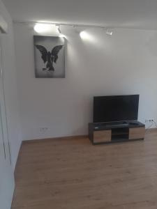 TV a/nebo společenská místnost v ubytování Centrum Koszalina -Stylowe mieszkanie na doby