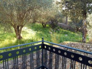 A garden outside Polytropon Apartments