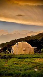 Příroda nedaleko luxury tent + 30 fotografií