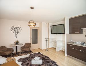 ein Wohnzimmer mit einem Bett und einer Küche in der Unterkunft Voltaire Elephant Suite - 5 min Hypercentre in Troyes