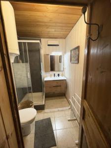 a small bathroom with a toilet and a sink at Résidence Joubelle - Bel appartement rénové chalet de 4 à 6 couchages a Réallon JOUB2-4 MAE-8631 in Réallon +9 photos