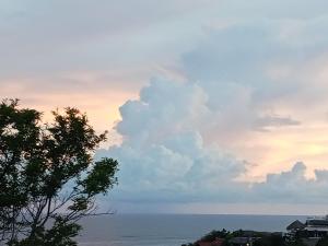 Příroda nedaleko apartmánu + 3 fotografie