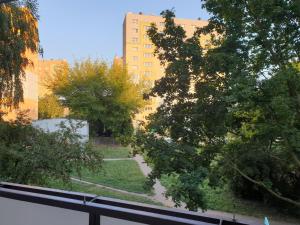 a view of a street with trees and buildings at Mieszkanie dla całej rodziny in Łódź
