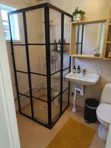 Ένα μπάνιο στο Cozy Garden Cottage +14 φωτογραφίες