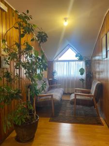Posezení v ubytování Hotel Küyen-Ko Pucón